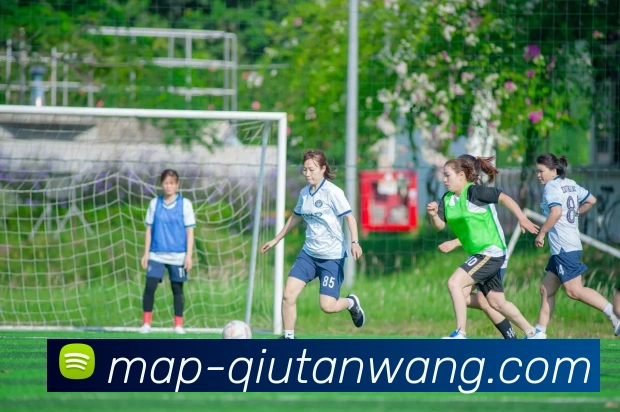 多媒体互动体验